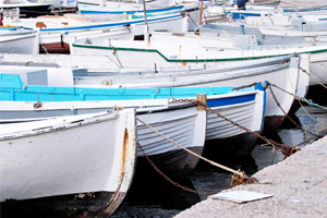 rental boats at the dock